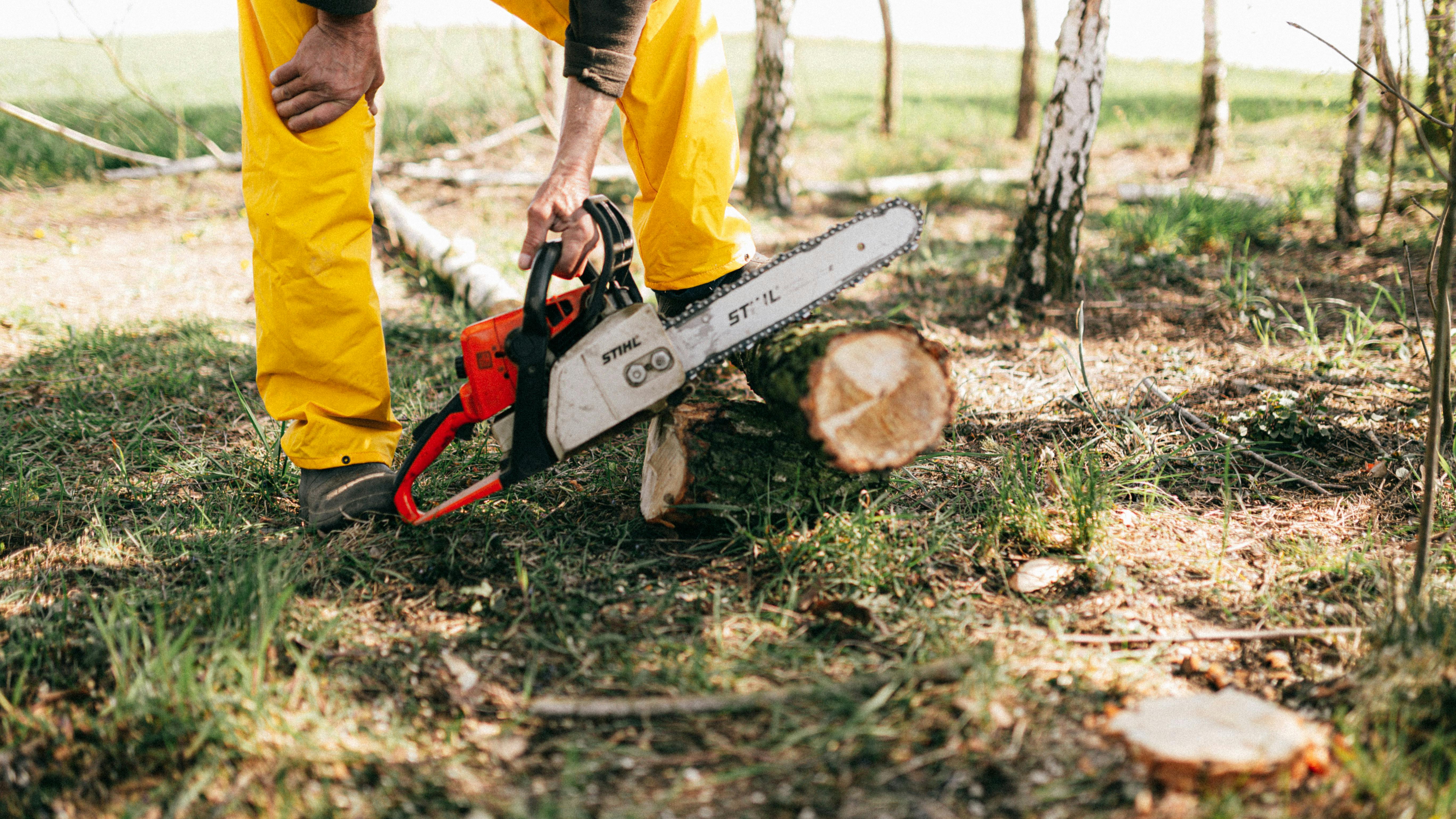 ForestCrew in action