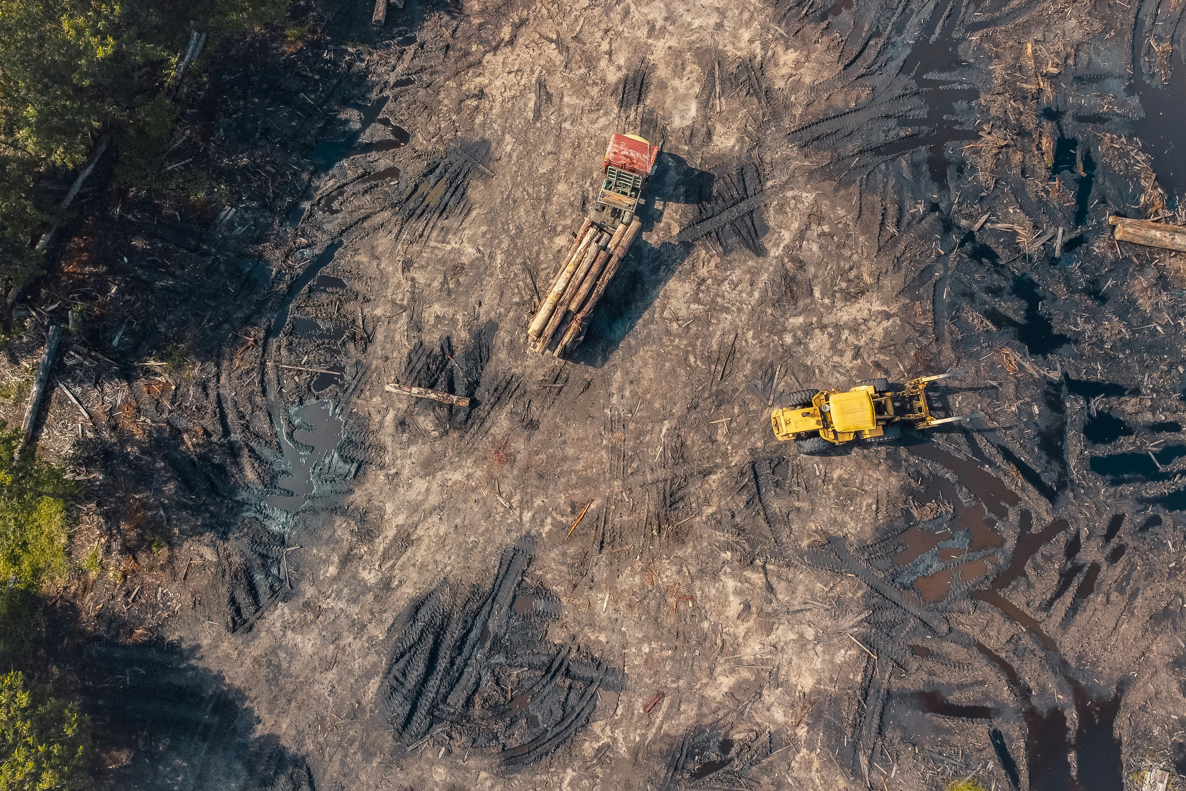 ForestStart operating service